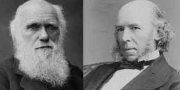 No progress since Darwin and Spencer?